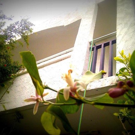 Thalassa Studios Faliraki Exterior photo