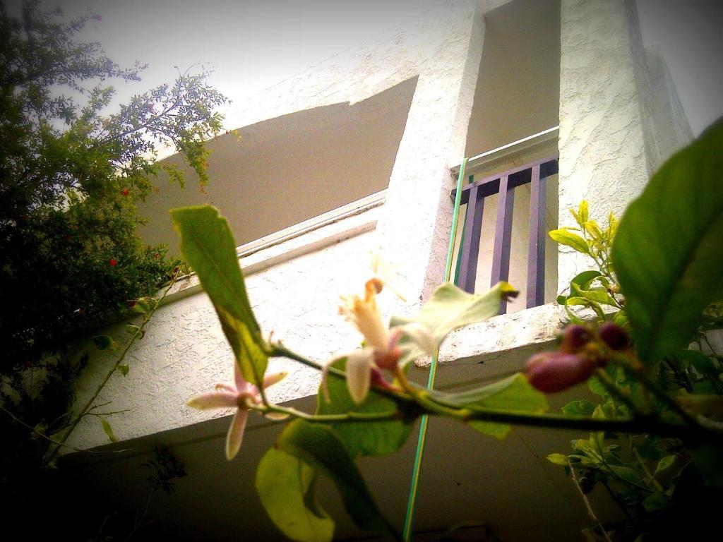 Thalassa Studios Faliraki Exterior photo