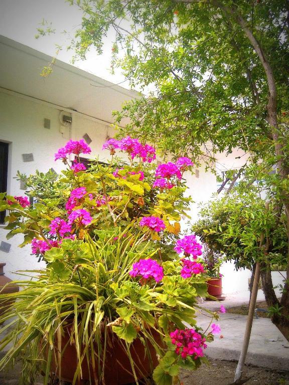Thalassa Studios Faliraki Exterior photo