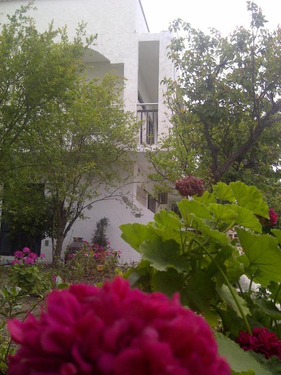 Thalassa Studios Faliraki Exterior photo